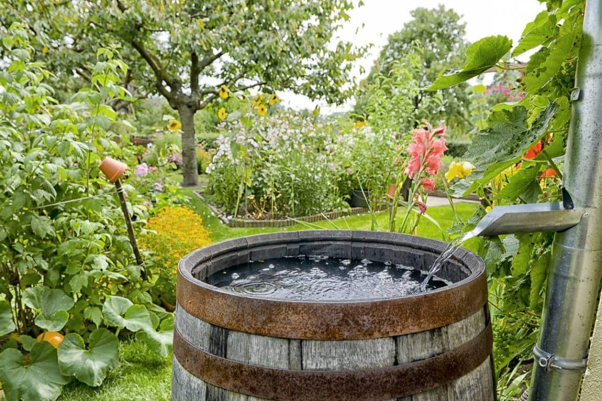 Todo lo que necesitas saber sobre el depósito de agua de lluvia